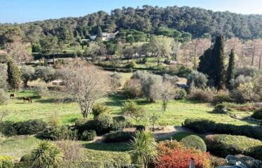 Superb Hillside Plot in a Prestigious Mougins Neighborhood